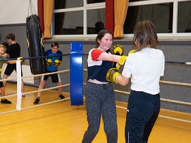 Der Boxlernstall