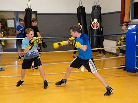 Der Boxlernstall